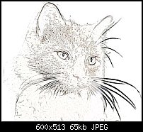 Click image for larger version. 

Name:	lineart cat.jpg 
Views:	406 
Size:	65.1 KB 
ID:	41018