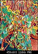 Click image for larger version. 

Name:	Prisma 2.jpg 
Views:	195 
Size:	115.8 KB 
ID:	117191