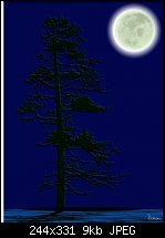 Click image for larger version. 

Name:	tree4.jpg 
Views:	250 
Size:	8.8 KB 
ID:	7886