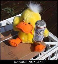 Click image for larger version. 

Name:	Duck_Beer.jpg 
Views:	325 
Size:	69.6 KB 
ID:	8037
