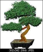 Click image for larger version. 

Name:	bonsai2.jpg 
Views:	231 
Size:	20.1 KB 
ID:	14753