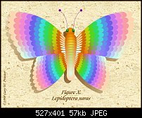 Click image for larger version. 

Name:	butterfly.jpg 
Views:	105 
Size:	57.5 KB 
ID:	121519
