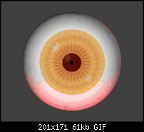 Click image for larger version. 

Name:	eyeball_ani.gif 
Views:	317 
Size:	60.6 KB 
ID:	3807