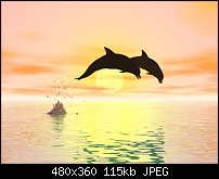 Click image for larger version. 

Name:	Dolphinsunset.jpg 
Views:	219 
Size:	114.7 KB 
ID:	18150