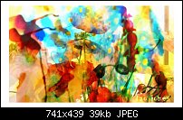 Click image for larger version. 

Name:	morningpoppies.jpg 
Views:	304 
Size:	38.7 KB 
ID:	19227