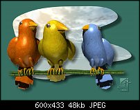 Click image for larger version. 

Name:	birds2003.jpg 
Views:	399 
Size:	47.8 KB 
ID:	2594
