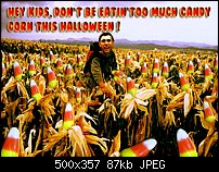 Click image for larger version. 

Name:	candycornfield.jpg 
Views:	221 
Size:	86.9 KB 
ID:	12005