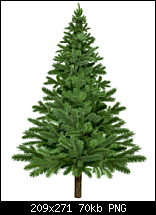 Click image for larger version. 

Name:	TGxmastree2017.png 
Views:	168 
Size:	69.7 KB 
ID:	119409