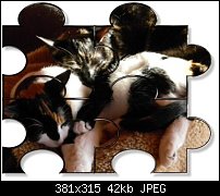 Click image for larger version. 

Name:	puzzle.jpg 
Views:	127 
Size:	42.3 KB 
ID:	76969
