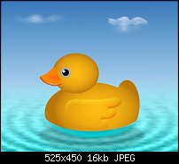 Click image for larger version. 

Name:	Duck 1.jpg 
Views:	255 
Size:	16.0 KB 
ID:	102015