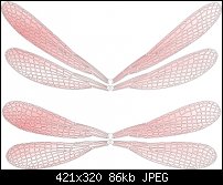 Click image for larger version. 

Name:	wings.jpg 
Views:	302 
Size:	85.6 KB 
ID:	1088