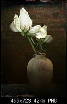 Click image for larger version. 

Name:	dried rose.jpg 
Views:	249 
Size:	42.0 KB 
ID:	83260