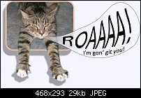 Click image for larger version. 

Name:	OOB Cat.jpg 
Views:	315 
Size:	28.8 KB 
ID:	56779