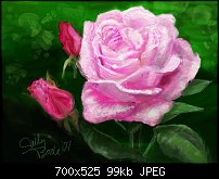 Click image for larger version. 

Name:	1st Rose copy.jpg 
Views:	937 
Size:	99.1 KB 
ID:	38287