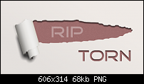 Click image for larger version. 

Name:	rip-torn.png 
Views:	213 
Size:	68.1 KB 
ID:	106684
