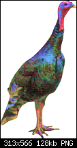 Click image for larger version. 

Name:	Turkey3.png 
Views:	93 
Size:	128.0 KB 
ID:	85029