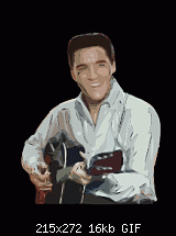Click image for larger version. 

Name:	elvis.gif 
Views:	241 
Size:	15.7 KB 
ID:	9954