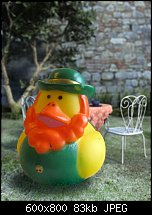 Click image for larger version. 

Name:	Irish-Duck-copy-2.jpg 
Views:	181 
Size:	82.5 KB 
ID:	100206