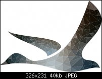 Click image for larger version. 

Name:	goose.jpg 
Views:	230 
Size:	39.9 KB 
ID:	100271