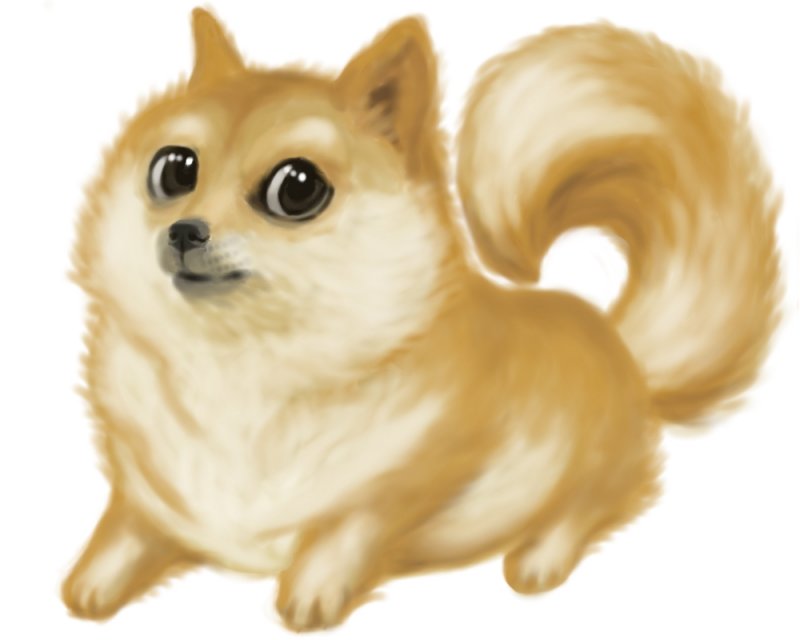 Doge Meme Style Shiba Inu And Pomeranian