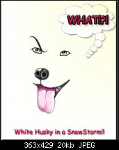 Click image for larger version. 

Name:	White_Husky_in_a_SnowStorm.jpg 
Views:	251 
Size:	20.3 KB 
ID:	1014