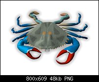 Click image for larger version. 

Name:	blue-crab-800.jpg 
Views:	101 
Size:	47.9 KB 
ID:	101653