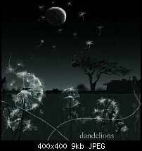 Click image for larger version. 

Name:	dandelions.JPG 
Views:	283 
Size:	9.5 KB 
ID:	10238