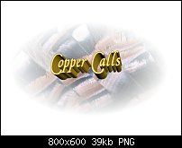 Click image for larger version. 

Name:	copper calls text.jpg 
Views:	114 
Size:	38.9 KB 
ID:	102419
