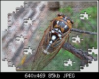 Click image for larger version. 

Name:	Cicada_Puzzle.jpg 
Views:	207 
Size:	85.4 KB 
ID:	10250