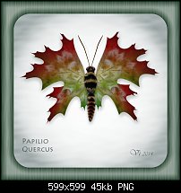 Click image for larger version. 

Name:	igor vojtela butterfly.jpg 
Views:	172 
Size:	44.8 KB 
ID:	102606