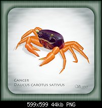 Click image for larger version. 

Name:	igor vojtela crab.jpg 
Views:	190 
Size:	43.7 KB 
ID:	102607