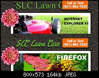 Click image for larger version. 

Name:	lawn.jpg 
Views:	85 
Size:	163.9 KB 
ID:	103126