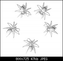 Click image for larger version. 

Name:	spiders-3d.jpg 
Views:	116 
Size:	46.6 KB 
ID:	103149