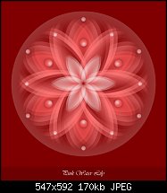 Click image for larger version. 

Name:	Red Water Lily.jpg 
Views:	251 
Size:	170.5 KB 
ID:	105104