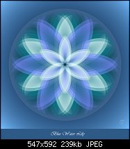 Click image for larger version. 

Name:	Blue Water Lily.jpg 
Views:	286 
Size:	239.2 KB 
ID:	105105