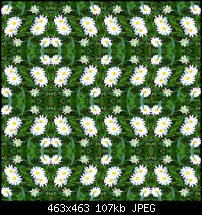 Click image for larger version. 

Name:	daisies_tile_mayas_sm.jpg 
Views:	151 
Size:	106.6 KB 
ID:	105532