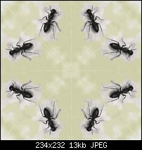 Click image for larger version. 

Name:	ants_tile_mayas_sm.jpg 
Views:	144 
Size:	13.0 KB 
ID:	105535