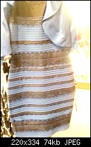 Click image for larger version. 

Name:	white-gold-dress-orig.jpg 
Views:	551 
Size:	74.0 KB 
ID:	106395