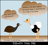 Click image for larger version. 

Name:	emu.png 
Views:	478 
Size:	69.6 KB 
ID:	106985