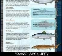 Click image for larger version. 

Name:	fishitall.jpg 
Views:	214 
Size:	239.4 KB 
ID:	107018