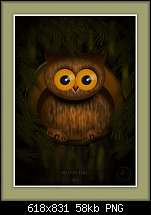 Click image for larger version. 

Name:	my little owl.jpg 
Views:	307 
Size:	57.5 KB 
ID:	107334
