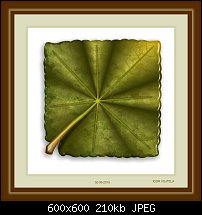 Click image for larger version. 

Name:	Leaf in square.jpg 
Views:	184 
Size:	210.5 KB 
ID:	109817