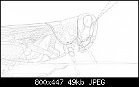 Click image for larger version. 

Name:	mygrasshopperwireframe.jpg 
Views:	259 
Size:	49.4 KB 
ID:	110088