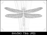 Click image for larger version. 

Name:	dragonflyonlywireframevec1.jpg 
Views:	227 
Size:	72.6 KB 
ID:	110520