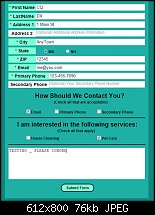 Click image for larger version. 

Name:	Online_Form_Entries.jpg 
Views:	137 
Size:	76.1 KB 
ID:	111089