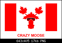 Click image for larger version. 

Name:	t-shirt moose.png 
Views:	280 
Size:	17.4 KB 
ID:	111954