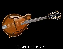 Click image for larger version. 

Name:	mandolin.jpg 
Views:	160 
Size:	46.8 KB 
ID:	113065
