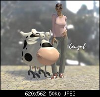 Click image for larger version. 

Name:	Cowgirl.jpg 
Views:	155 
Size:	50.0 KB 
ID:	113142