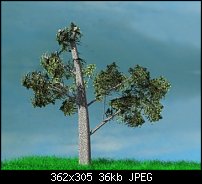 Click image for larger version. 

Name:	tree.jpg 
Views:	158 
Size:	35.9 KB 
ID:	113489
