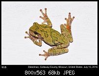 Click image for larger version. 

Name:	frog6.jpg 
Views:	303 
Size:	68.0 KB 
ID:	113705